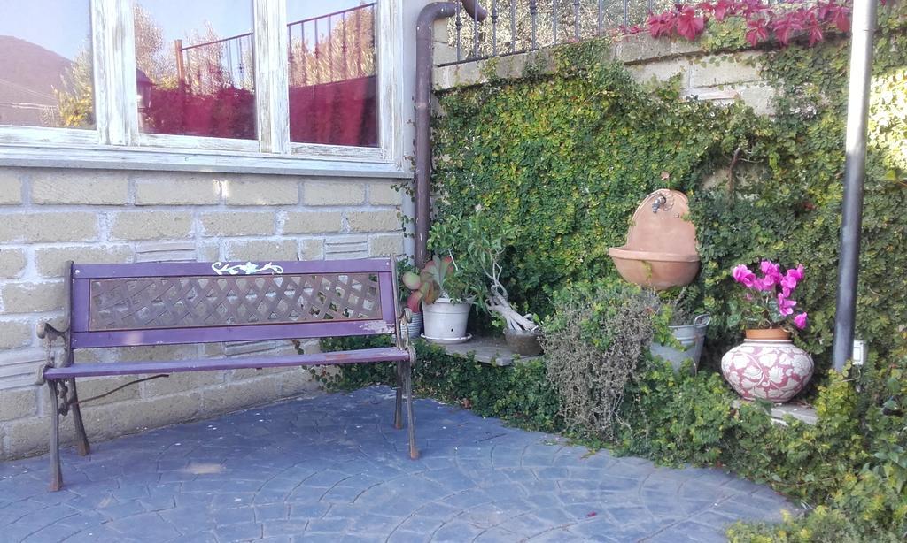 Il Poggio Degli Ulivi Appartement Trevignano Romano Kamer foto