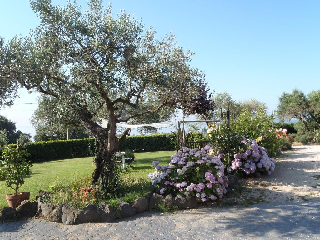 Il Poggio Degli Ulivi Appartement Trevignano Romano Kamer foto