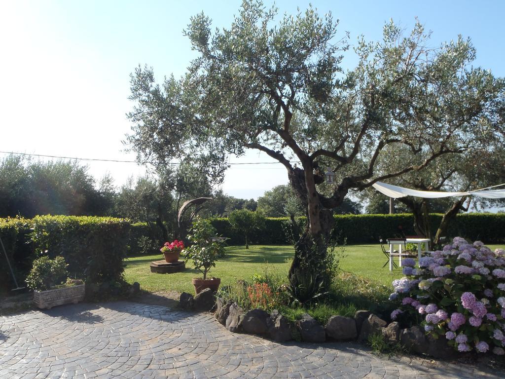 Il Poggio Degli Ulivi Appartement Trevignano Romano Kamer foto