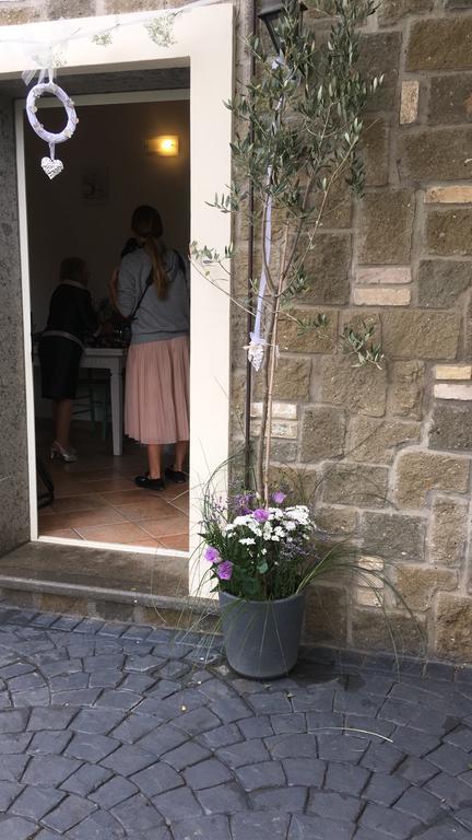 Il Poggio Degli Ulivi Appartement Trevignano Romano Buitenkant foto