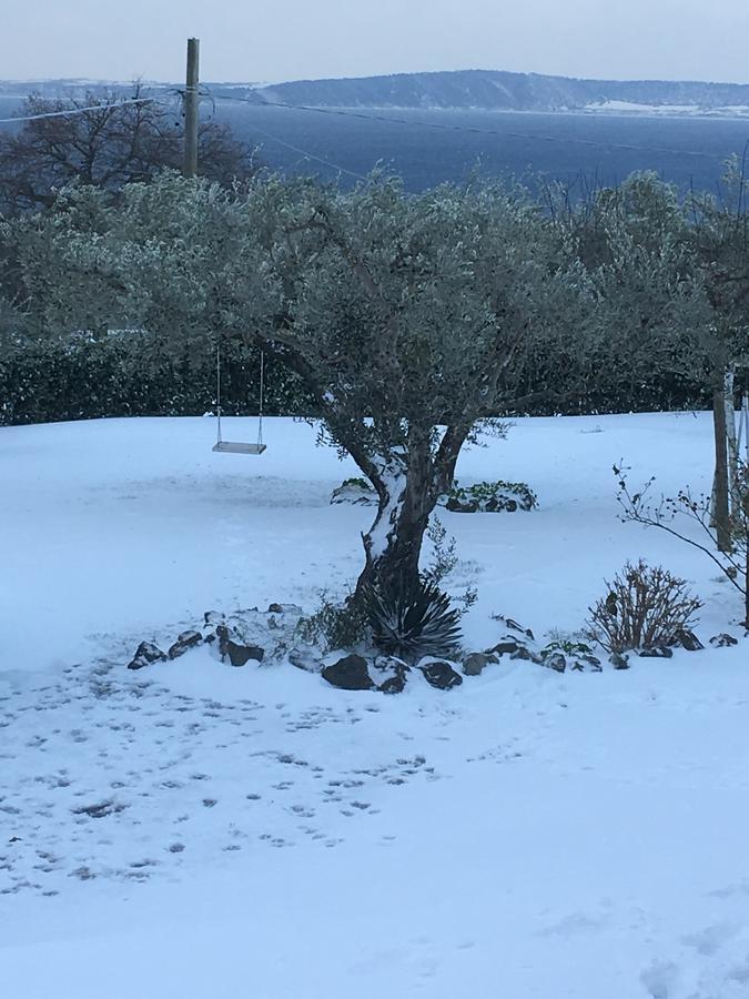 Il Poggio Degli Ulivi Appartement Trevignano Romano Buitenkant foto