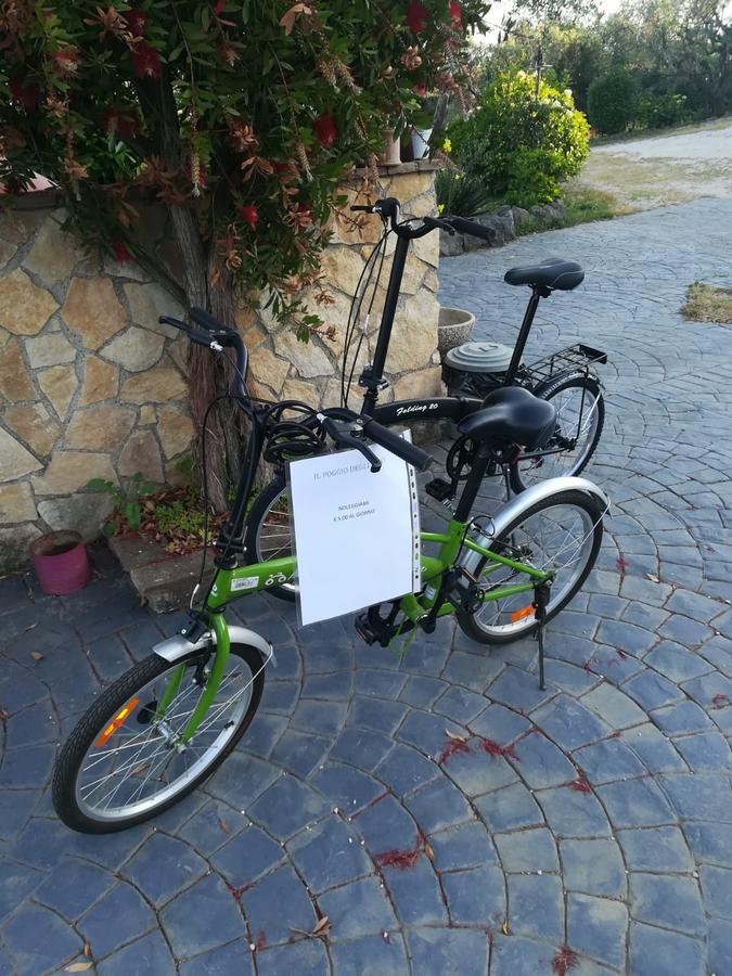 Il Poggio Degli Ulivi Appartement Trevignano Romano Buitenkant foto