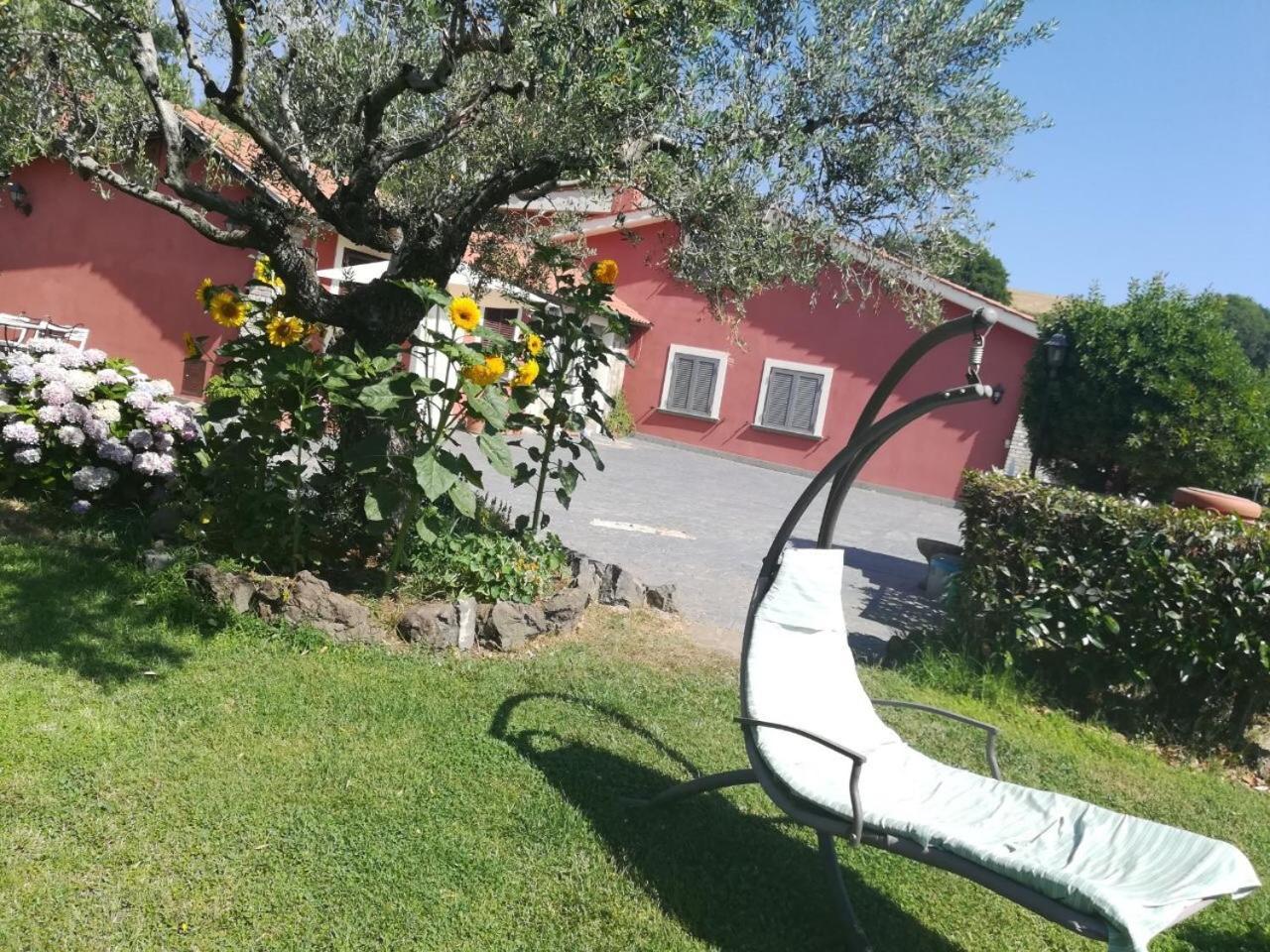 Il Poggio Degli Ulivi Appartement Trevignano Romano Buitenkant foto