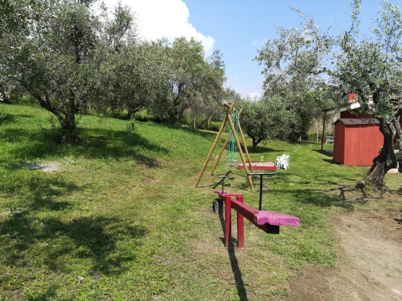 Il Poggio Degli Ulivi Appartement Trevignano Romano Buitenkant foto
