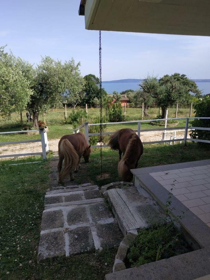 Il Poggio Degli Ulivi Appartement Trevignano Romano Buitenkant foto