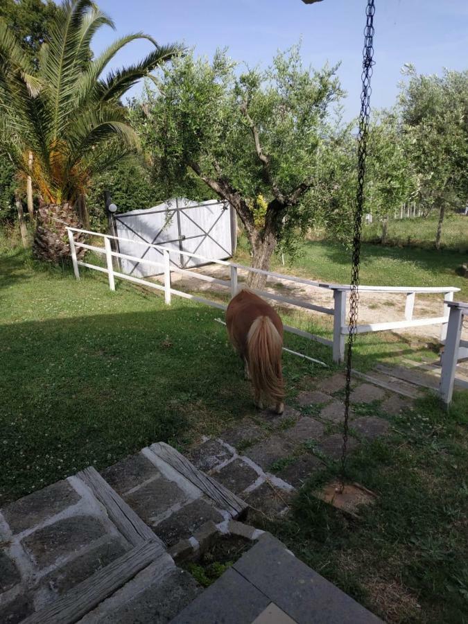 Il Poggio Degli Ulivi Appartement Trevignano Romano Buitenkant foto